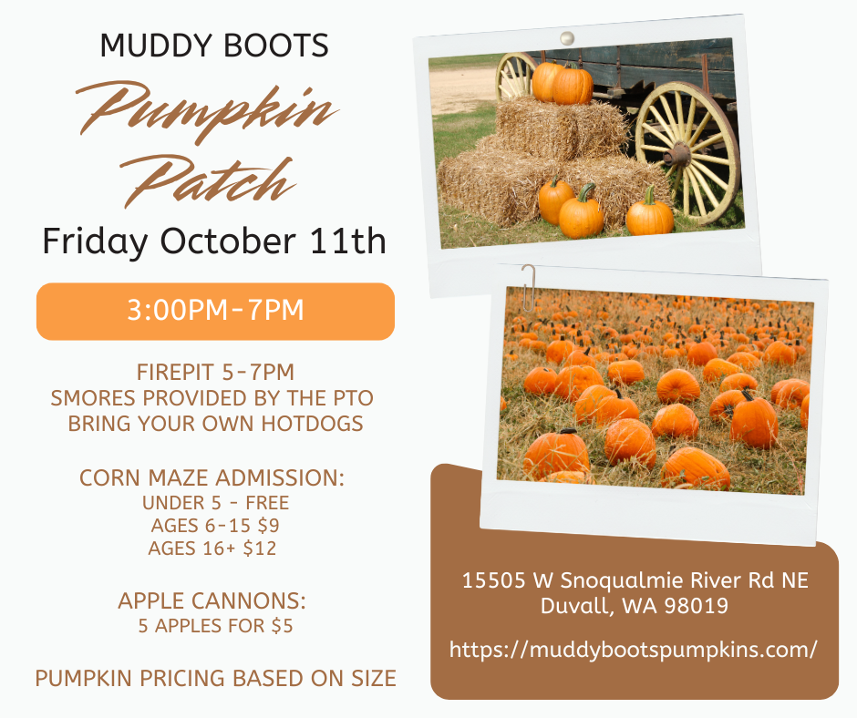 Pumpkin Patch
